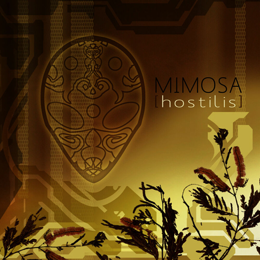 Picture of Mimosa