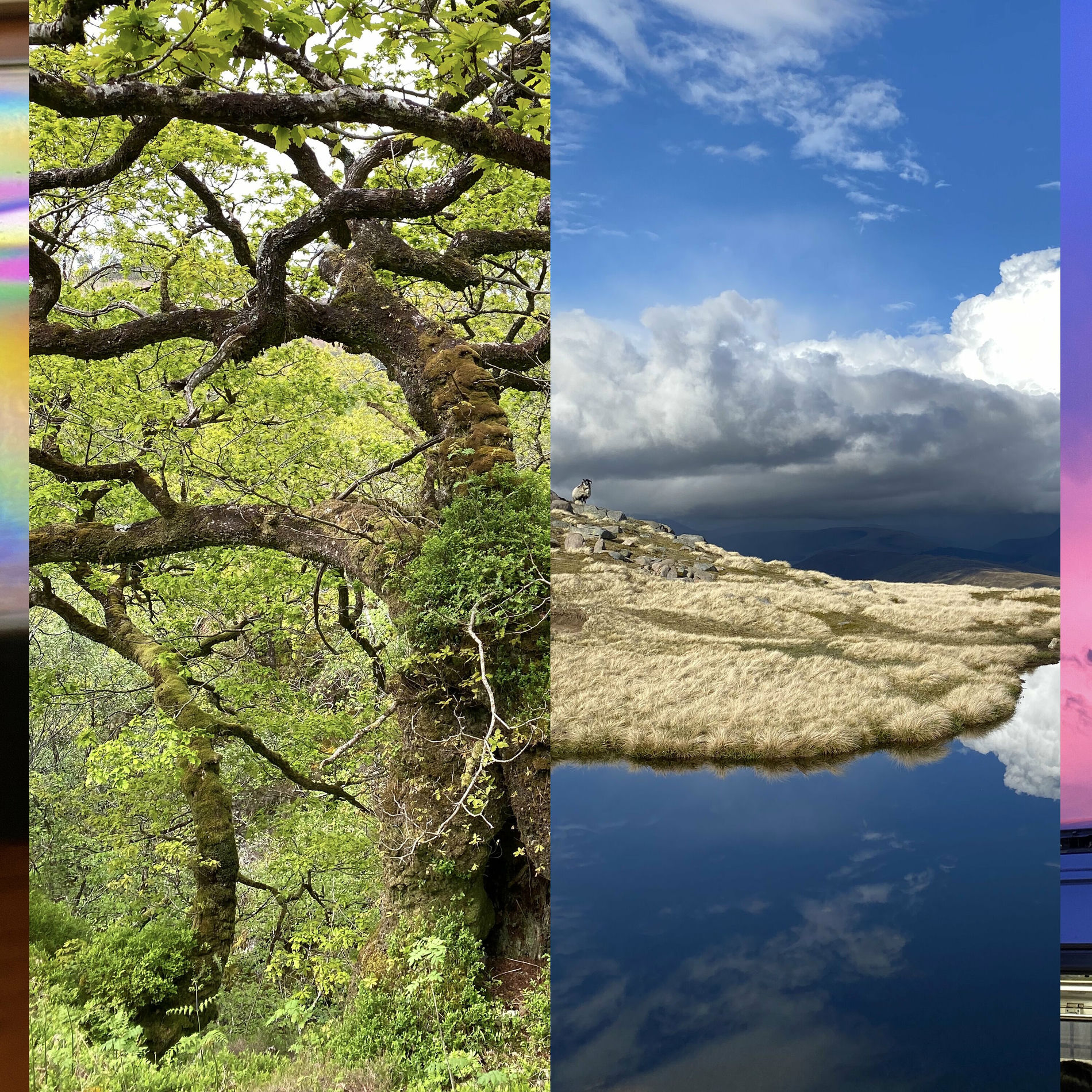 ⣎⡇ꉺლ༽இ•̛)ྀ◞ ༎ຶ ༽ৣৢ؞ৢ؞ؖ ꉺლ