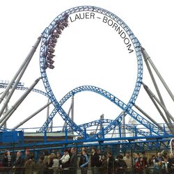 Picture of Lauer