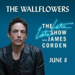Picture of The Wallflowers