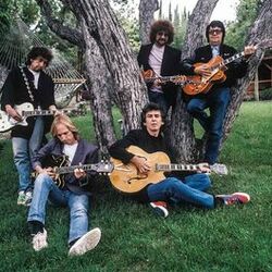 Picture of The Traveling Wilburys