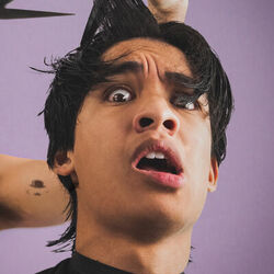 Picture of Mico