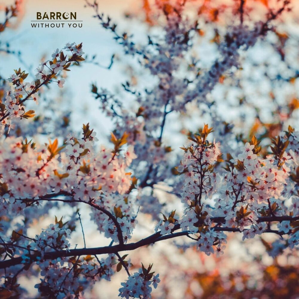 Picture of barron