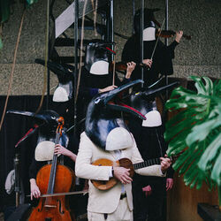 Picture of Penguin Cafe