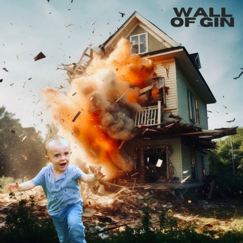 Photo de l'artiste Wall Of Gin