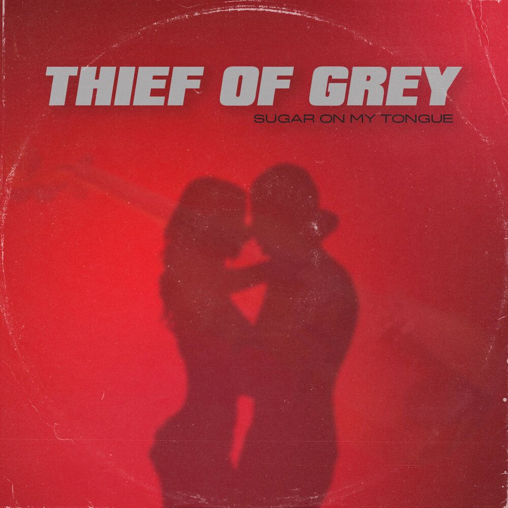 Picture of Thief of Grey