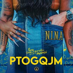 Picture of N.I.N.A