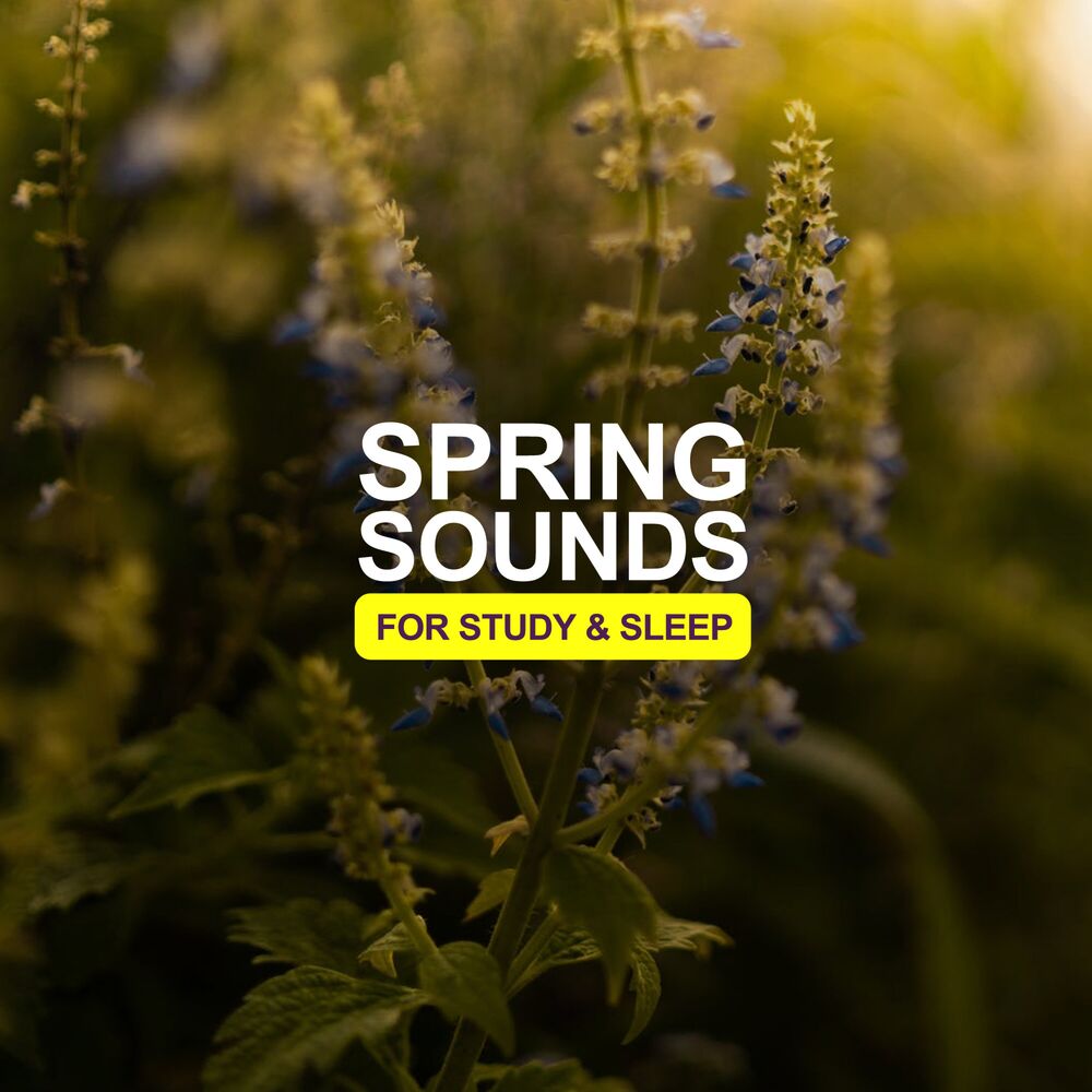 Picture of Sound of the Wilderness