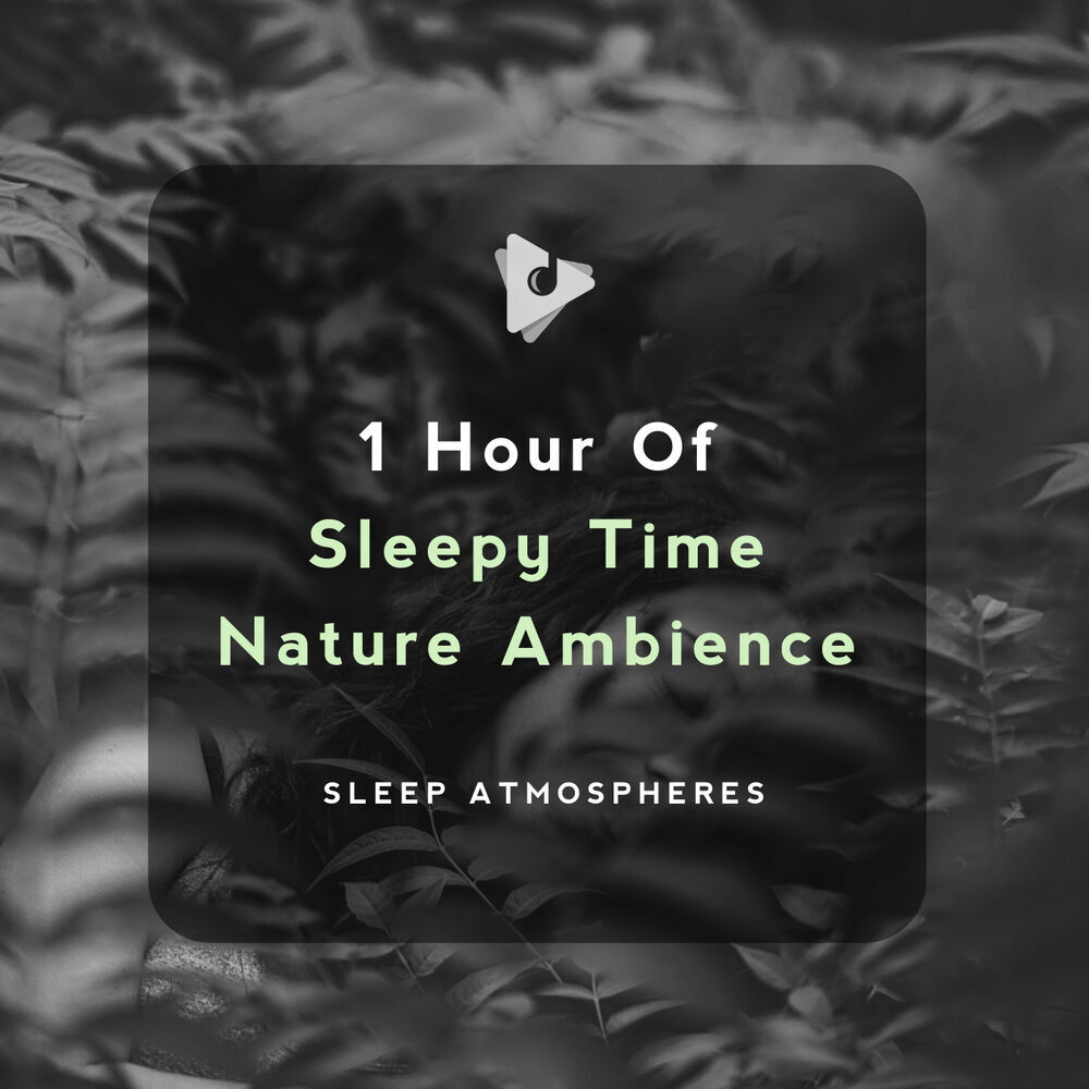 Picture of Sleepy Time Sessions