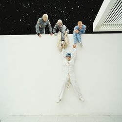 Picture of The Beta Band