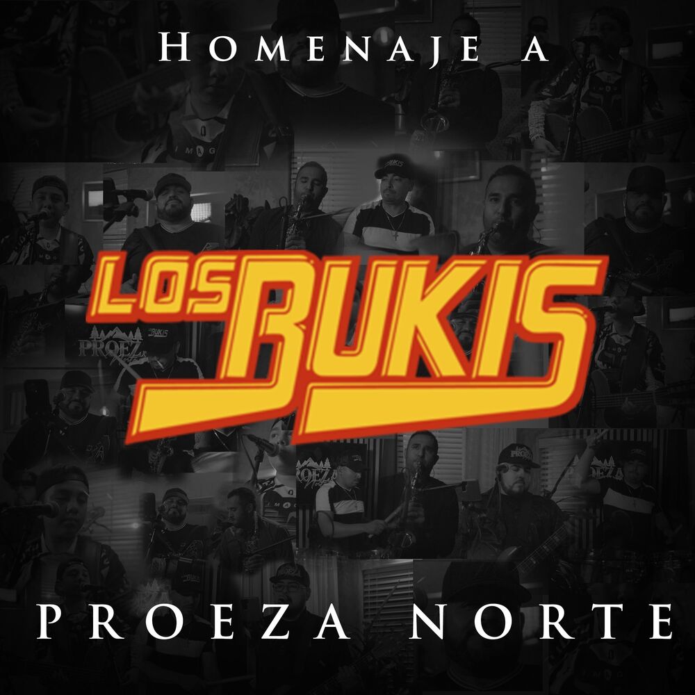Picture of Proeza Norte