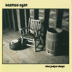 Picture of Seamus Egan