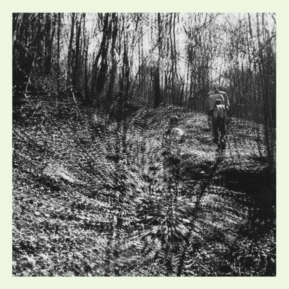 Picture of topographies