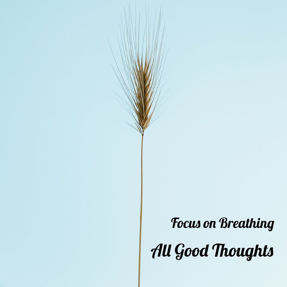 Picture of Focus on Breathing