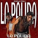 Papaa Tyga