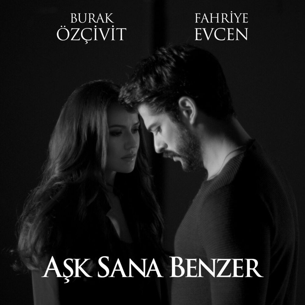 Picture of Fahriye Evcen