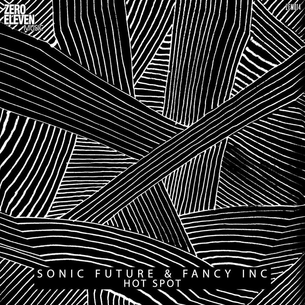 Picture of Sonic Future & Fancy Inc