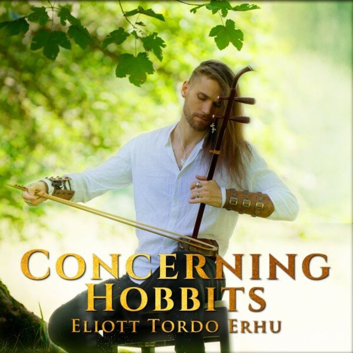 Eliott Tordo Erhu