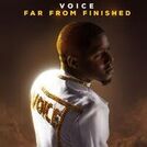 Voice