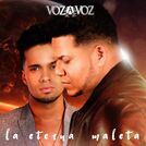 Voz A Voz
