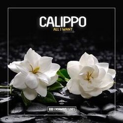 Calippo
