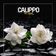 Calippo