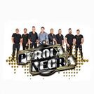 Banda Pérola Negra