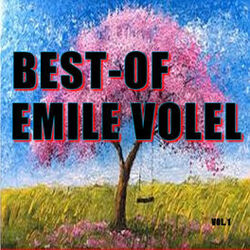 Picture of Emile Volel