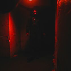 Picture of DOC OVG
