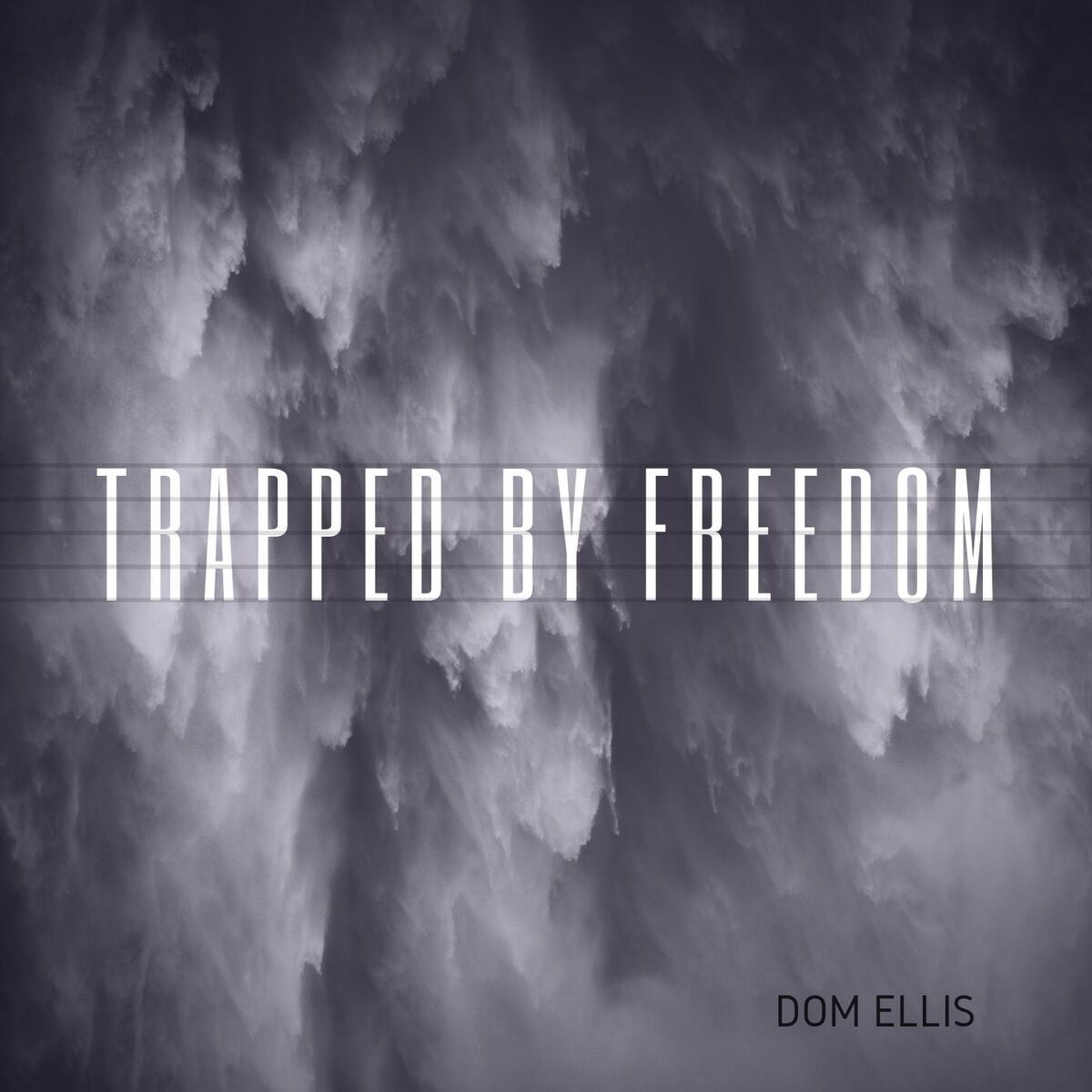Dom Ellis