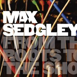 Picture of Max Sedgley