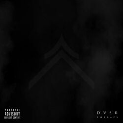 Picture of DVSR