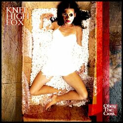 Picture of Knee High Fox