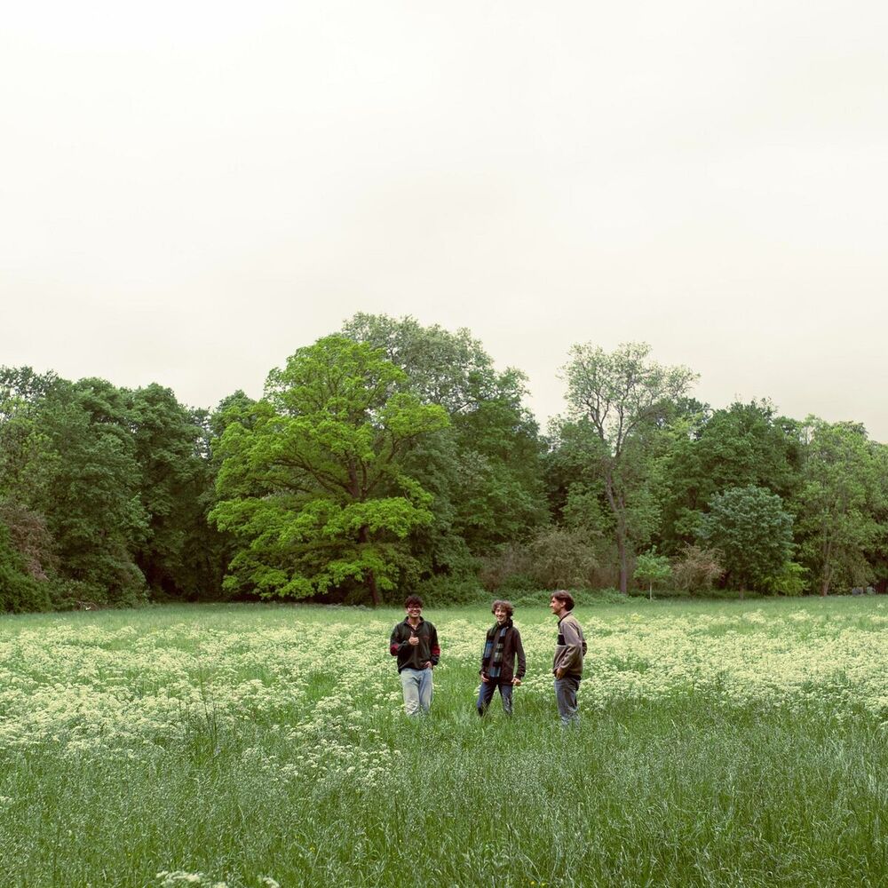 Picture of Liebestrunken