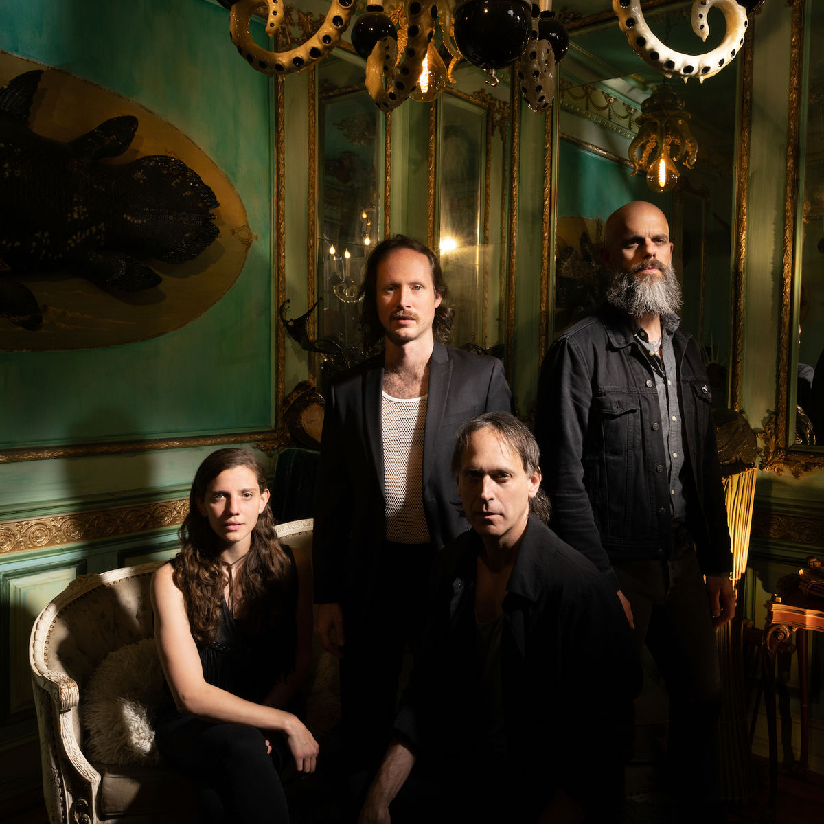 Artist picture of Baroness