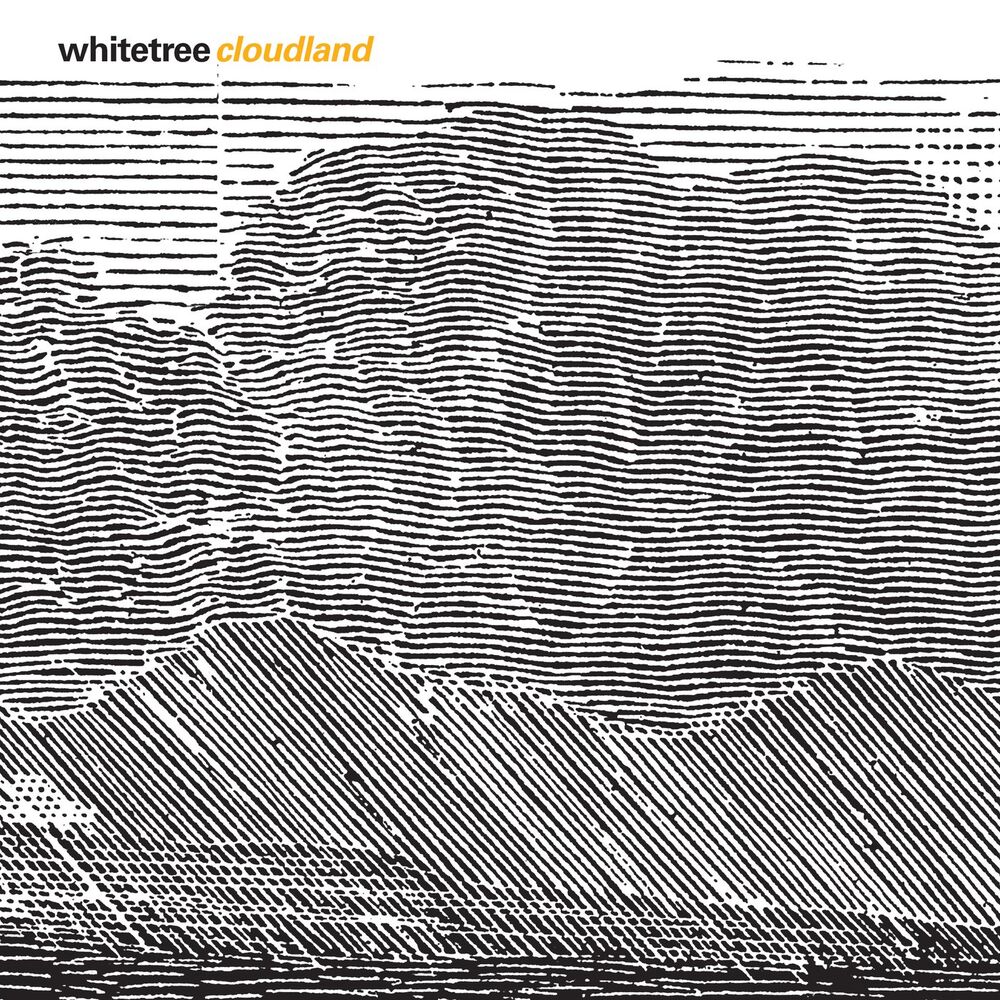 Picture of Whitetree