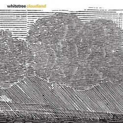 Picture of Whitetree