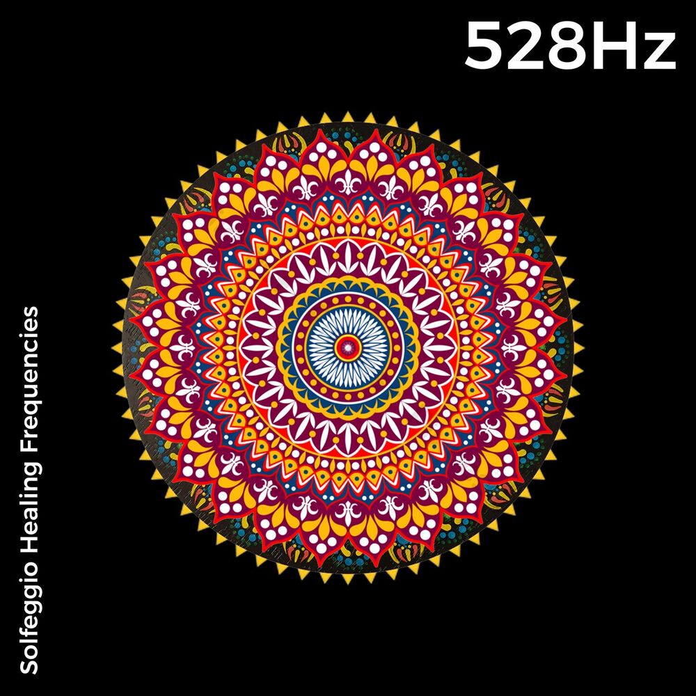 Picture of Magnetic Minds Meditations