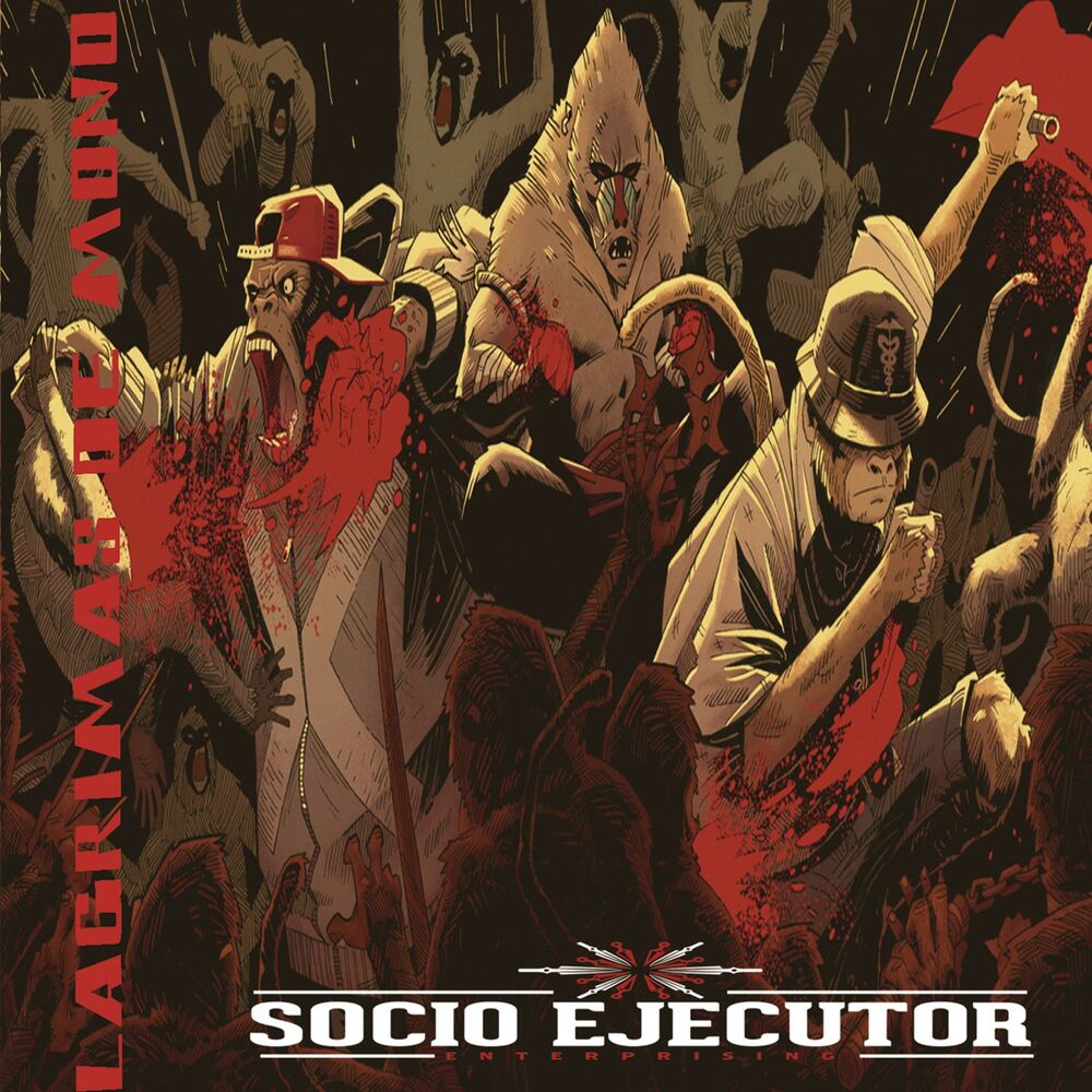 Picture of Socio Ejecutor