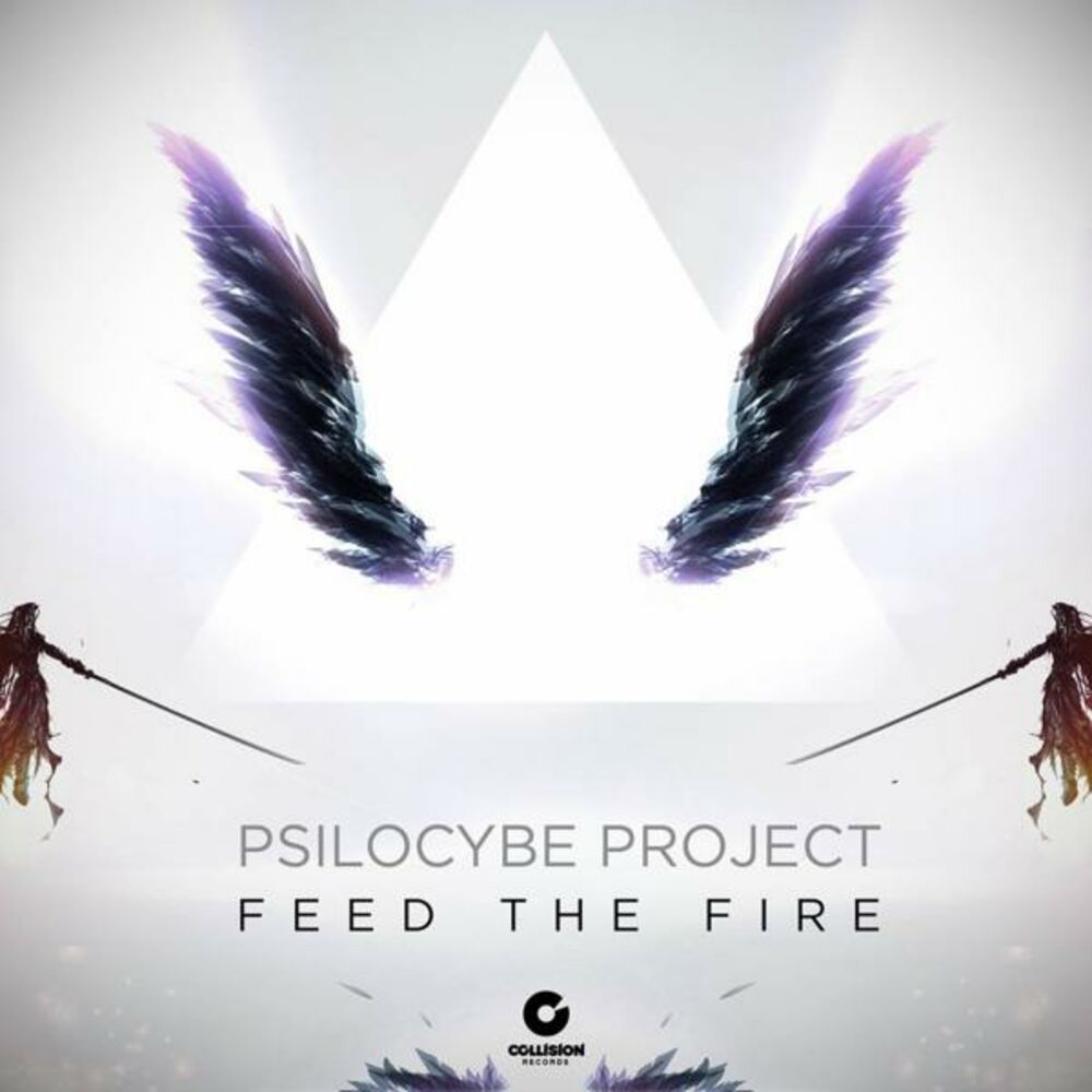 Picture of Psilocybe Project