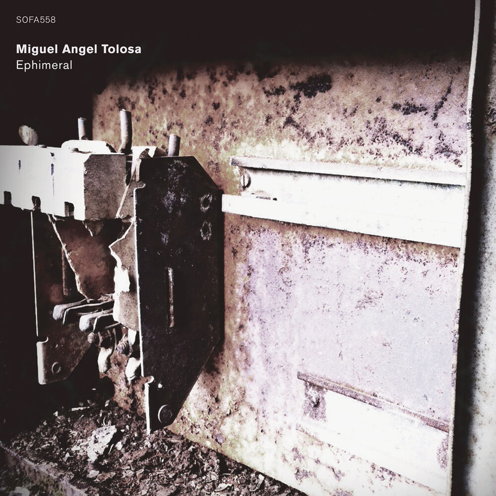 Picture of Miguel Angel Tolosa