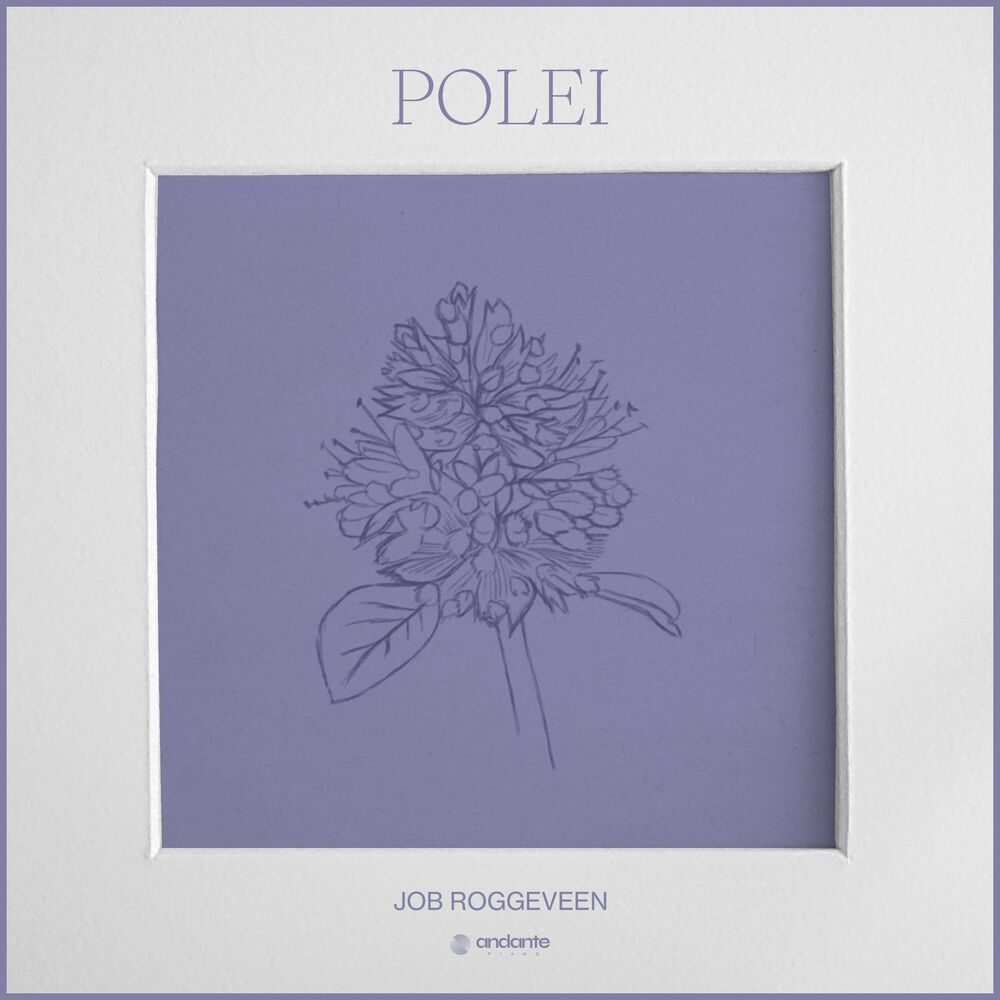 Picture of Job Roggeveen
