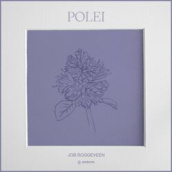 Picture of Job Roggeveen