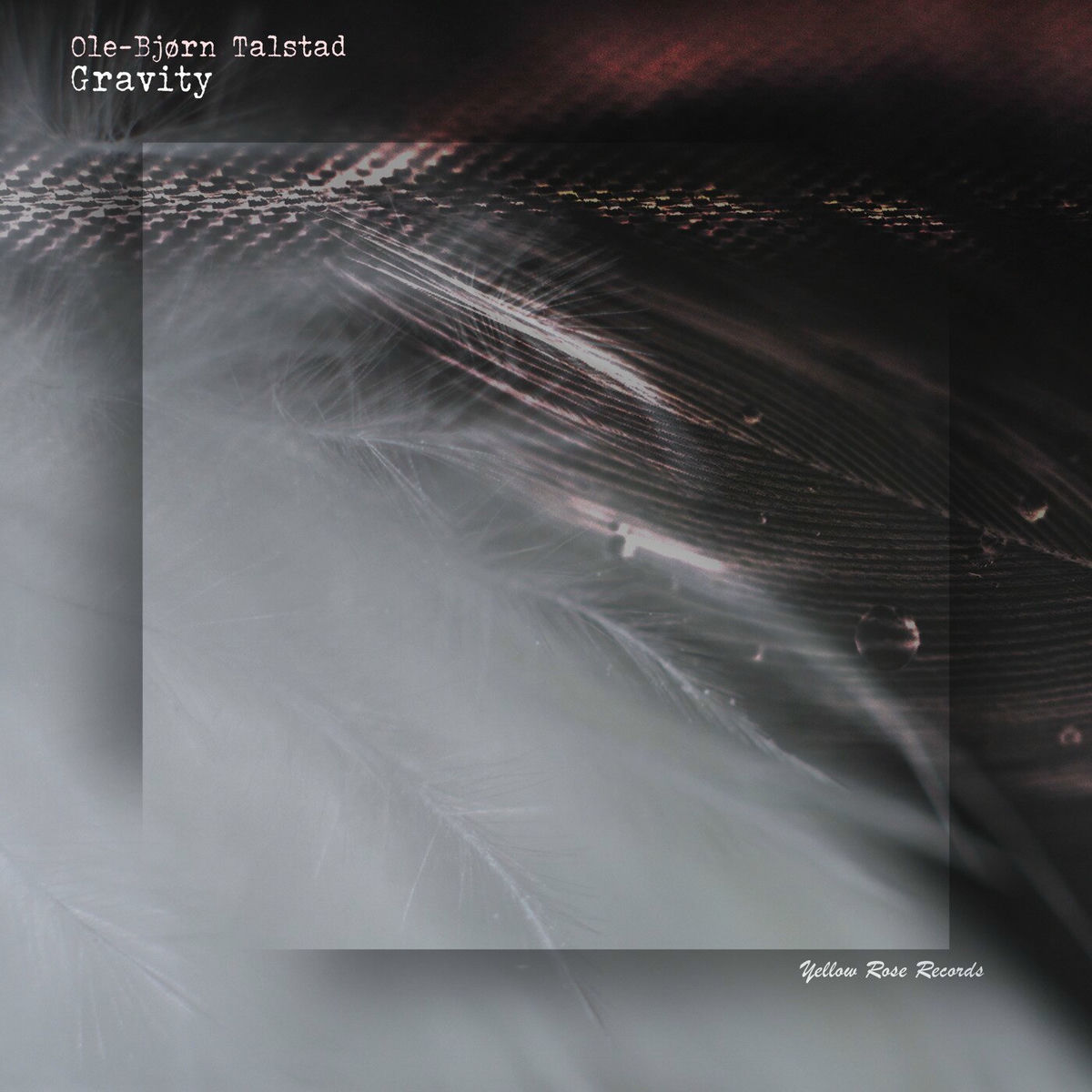 Artist picture of Ole-Bjørn Talstad