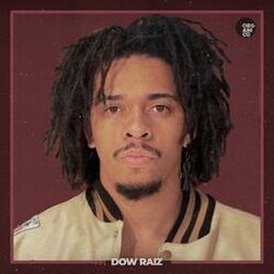 Dow Raiz