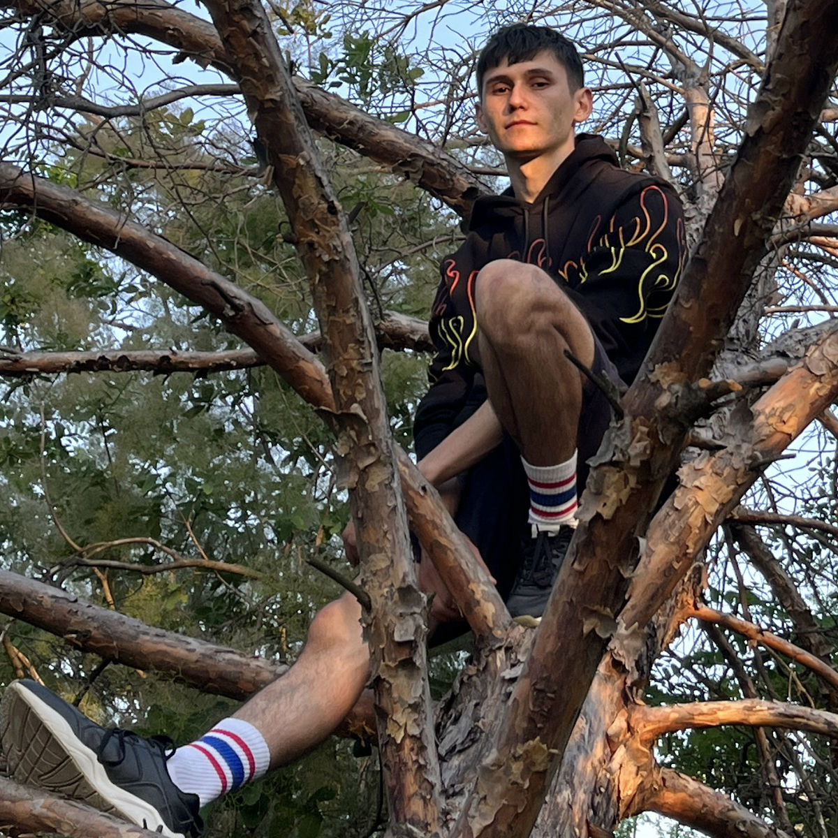 Artist picture of lst drm