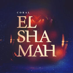 Picture of Coral El-Shamah