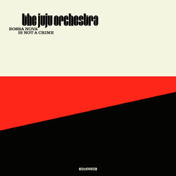 Picture of The Juju Orchestra
