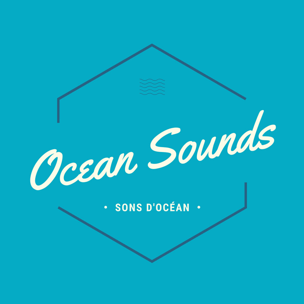 Picture of Ocean Sounds
