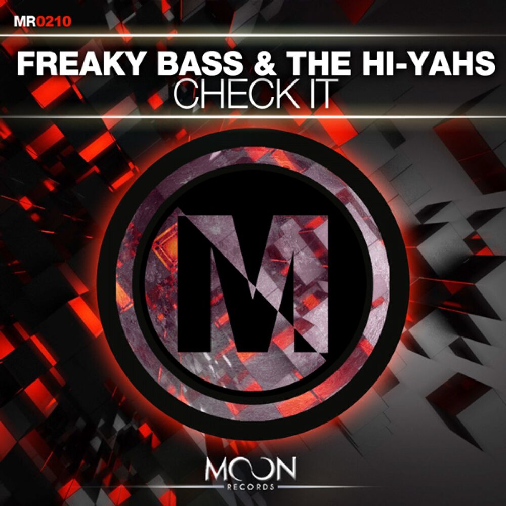 Picture of Freaky Bass & The Hi-Yahs